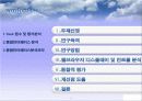 인간공학 브라우져 디스플레이 컨트롤 15페이지
