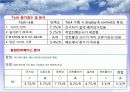 인간공학 브라우져 디스플레이 컨트롤 21페이지