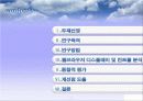 인간공학 브라우져 디스플레이 컨트롤 25페이지