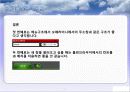 인간공학 브라우져 디스플레이 컨트롤 27페이지