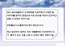 인간공학 브라우져 디스플레이 컨트롤 32페이지