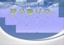 인간공학 브라우져 디스플레이 컨트롤 33페이지