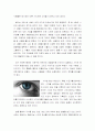 이미지 (ways of seeing)를 읽고 바라다보는 형식의 '본다'와 '보여진다'에 대해서 기술하기 2페이지