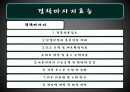 대체의학 6페이지