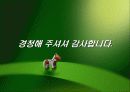 오리온 초코파이의 중국시장진출전략 5C분석 12페이지