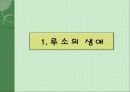 Jean-Jacques Rousseau 루소의 교육 사상 철학 4페이지