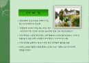 Jean-Jacques Rousseau 루소의 교육 사상 철학 11페이지