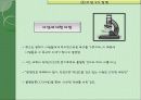 Jean-Jacques Rousseau 루소의 교육 사상 철학 14페이지