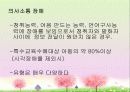 의사소통 장애의 정의, 분류, 특성, 원인, 진단, 교육, 치료 5페이지