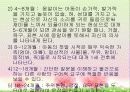 의사소통 장애의 정의, 분류, 특성, 원인, 진단, 교육, 치료 31페이지