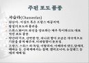 스위스 와인  24페이지