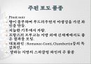 스위스 와인  25페이지