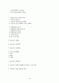  청소년 문화의 전반적인 이해 3페이지