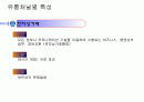 시장의 이해 14페이지