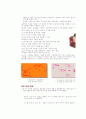 발달영역별 특징 27페이지