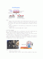 Photo Lithography 3페이지