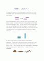 piaget theory 10페이지