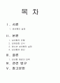 청소년 성비행의 실태 및 해결방안 1페이지
