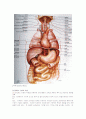 신경의 구조와 기능 2페이지