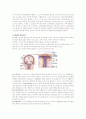 신경계의 구조와 기능 4페이지