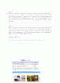유비쿼터스 컴퓨팅 9페이지