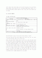 조손가족과 복지대책 4페이지