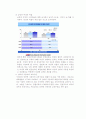 쇼핑몰사업계획서 8페이지