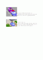 [교통안전-부모님교재] 4페이지