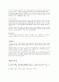 매춘문제와 이중차별 6페이지