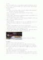 몬테소리에 대한 고찰 13페이지