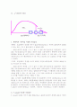 Z 분포와 t 분포, 채택역과 기각역의 가설검증 3페이지