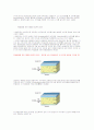 에너지 소비현황 및 선진사례 분석 21페이지