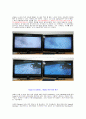 LG VS 삼성 PDP TV 27페이지