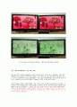 LG VS 삼성 PDP TV 37페이지