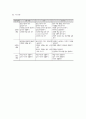 표준보육과정의 구성체계 5페이지