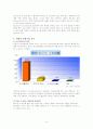마이크로소프트의 국제화 전략(세계화 및 현지화) 9페이지