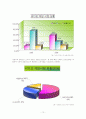 마이크로소프트의 국제화 전략(세계화 및 현지화) 10페이지