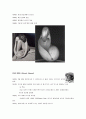 ‘F64’그룹이란 무엇인가?  2페이지