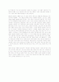 마케팅 믹스 5페이지