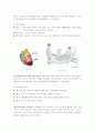 운동과건강 요약자료 6페이지
