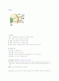 식물의 구조와 기능  2페이지