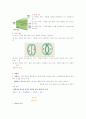 식물의 구조와 기능  9페이지