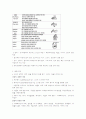  발목 및 발 11페이지