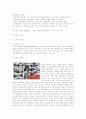 광고의 소구유형별 실제 기업의 광고사례 & 다양한 판매촉진전략의 성공사례 2페이지