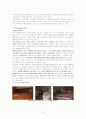 일본의 평생교육제도의 사례와 운영방식 4페이지