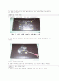 유아의 창의적 사고를 확장하는 쉬운 과학교육 지도방법 10페이지
