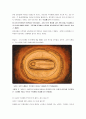 안식일의 역사 6페이지