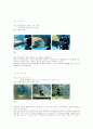 수족관 전시장 27페이지