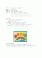 보육과정의 원칙 및 계획안 5페이지