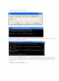 DDoS공격을 분석과 대비책 6페이지